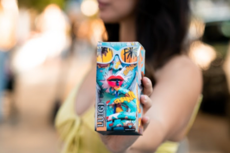 luigi carts real or fake