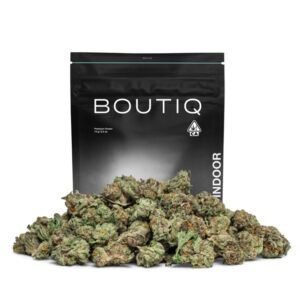 Luigi Blue Magic Carts